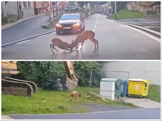 Vodičom sa v meste