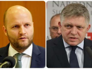 Status exministra Naďa rozhneval