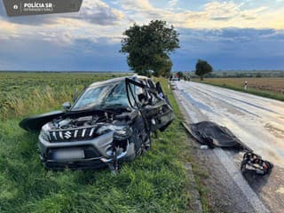 TRAGICKÁ zrážka auta s