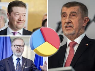 Kto ovládne české voľby?