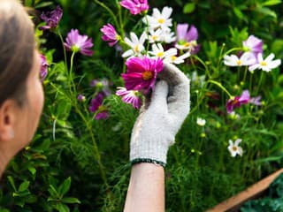 Prežijú aj EXTRÉMNE sucho