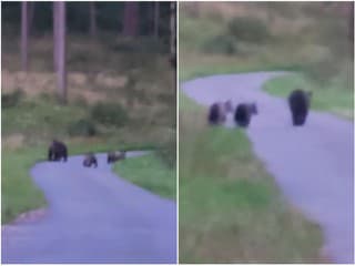 Nečakané stretnutie na frekventovanej