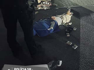 Policajti chytili zlodeja, ktorý