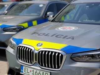 Polícia počas prvých školských