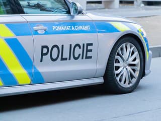 Rýchly zásah policajtov priniesol