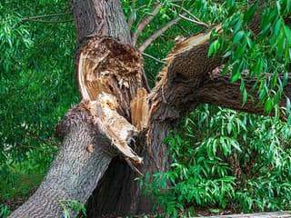 Veľká TRAGÉDIA na dovolenke