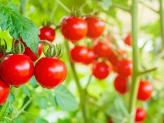 Ako docieliť väčšie a