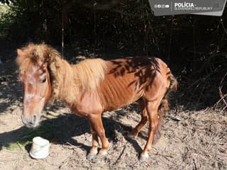 Ohavný prípad: Muž nechal