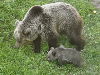 Úplný opak nášho prístupu: