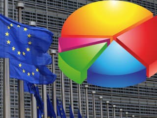 PRIESKUM nastavil Slovákom zrkadlo: