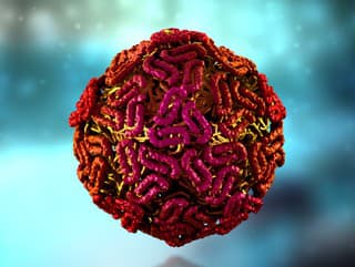 Západonílsky vírus má v