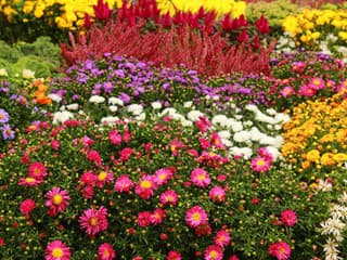 Ešte máte čas, no