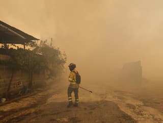Dobrá správa: Väčšinu lesných