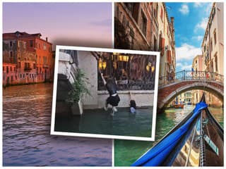 Takto si zájazd nepredstavovali: