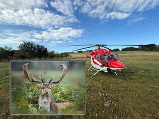 Pri záchrane daniela zomrel