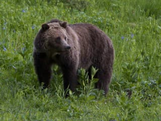 AKTUÁLNE Mesto Nitra upozorňuje