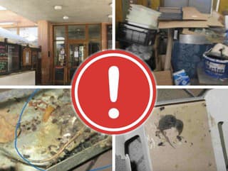 Mŕtve hlodavce, pleseň aj