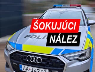 ŠOKUJÚCI NÁLEZ V LESE