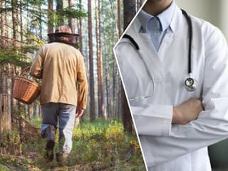 Hubári, POZOR! Sezóna prináša