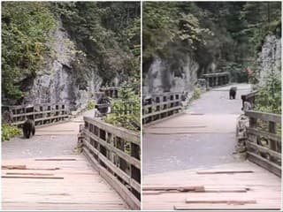 Dramatická situácia v Tatrách!