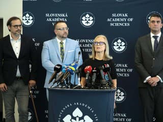 Roman Dorčík, Marek Števček,