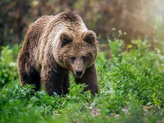 V Kremnici nahlásili obyvatelia