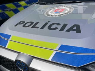 Protidrogová akcia v Rimavskej