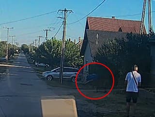 Jeleň zdvihol muža do