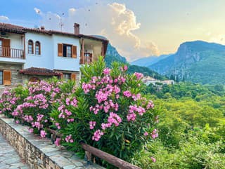 Medzi morom a horami: