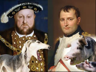 Zvieratá, ktoré zmenili dejiny: