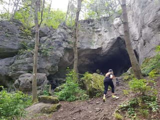 V Malých Karpatoch sú