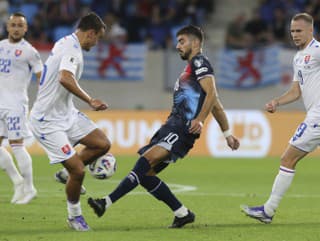 David Strelec a Danel