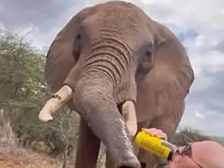 Španielsky turista nalieval pivo