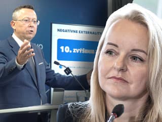 Expertka naložila Kamenického konsolidácii: