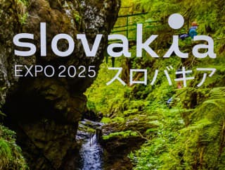 Pri organizácii slovenskej účasti