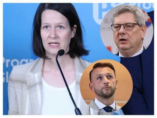 Zuzana Števulová/Ilustračné foto