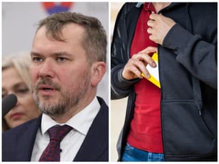 Karas vyčíta vláde, že