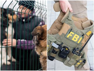 Pracovníci útulku sa nadýchali