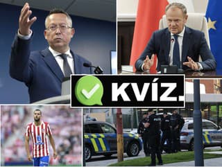 Politika, šport či šoubiznis: