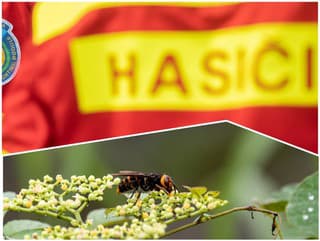 V Slovenskom raji horel