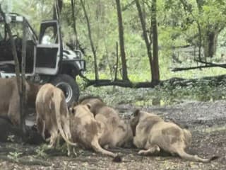 Návšteva zoo sa zmenila
