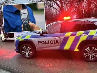 Na mol opitá policajtka