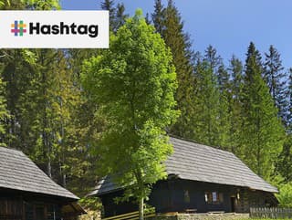 KVÍZ Aké nadávky používali