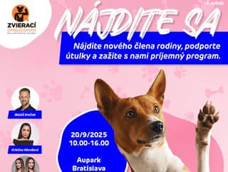 Najväčšie adopčné podujatie na