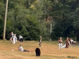 Šokujúce VIDEO: Piknik prerušil