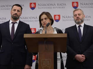 SaS kritizuje organizáciu Dní