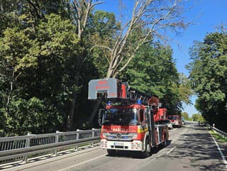 Odstraňovanie spadnutého stromu