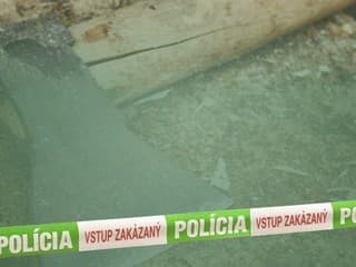 Kriminalisti vyšetrujú útok sekerou