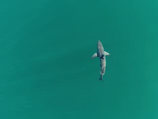 Zaujímavý úkaz: Po útokoch