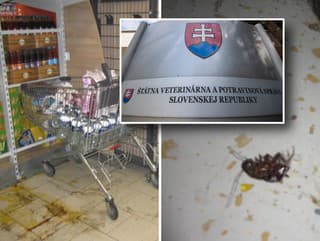 Výsledky kontrol z obchodov